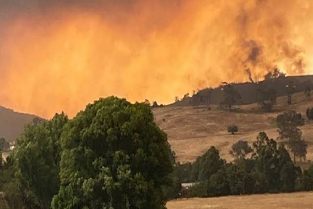Austrália vai contar com 1,2 bilhões de euros para reconstrução das áreas devastadas pelo fogo