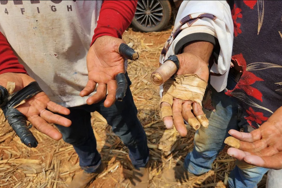 Brasil registra maior número de resgates de trabalhadores em condições análogas à escravidão nos últimos 14 anos no Brasil