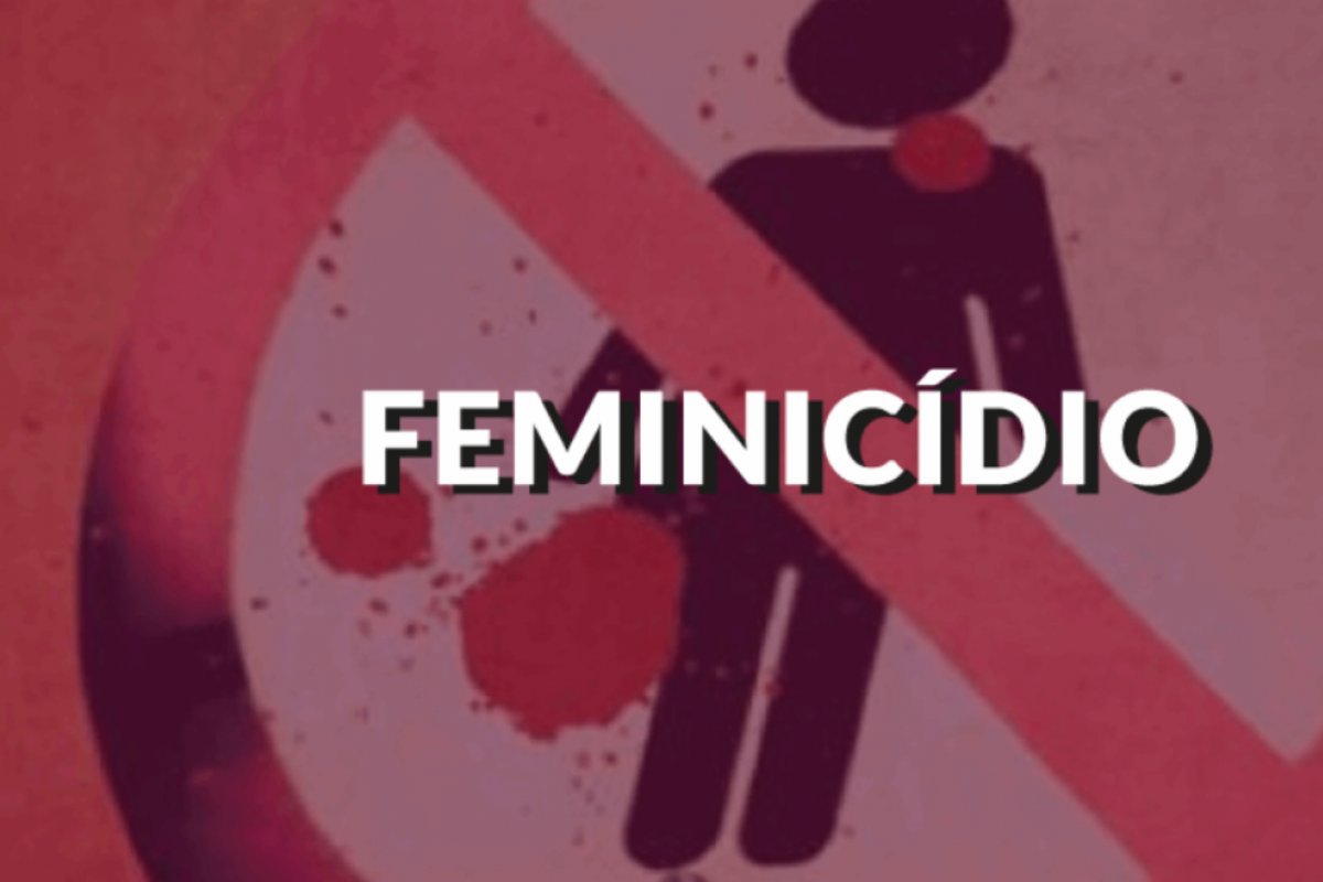 OAB quer debater feminicídio e violência contra a mulher no Brasil com a OEA