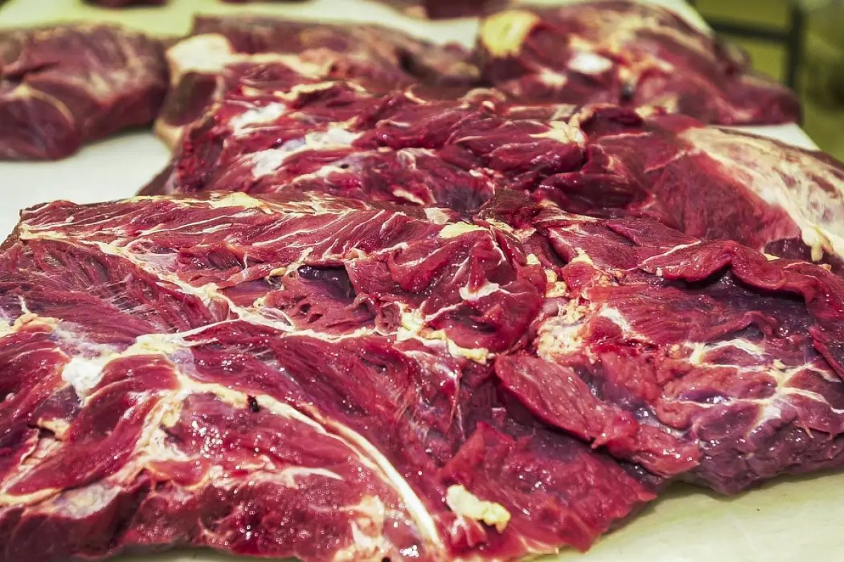 Exportações de carne bovina caem 17,15% na receita em 2023
