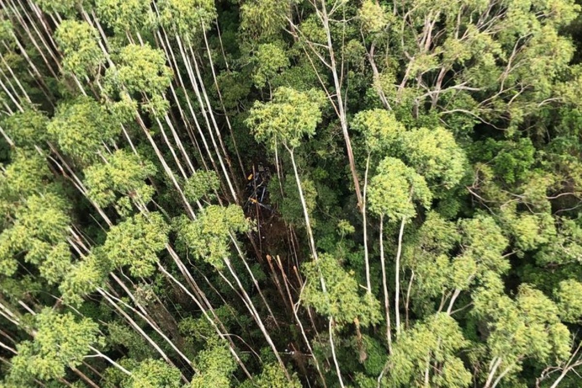 Helicóptero desaparecido em viagem para o litoral norte de SP é localizado