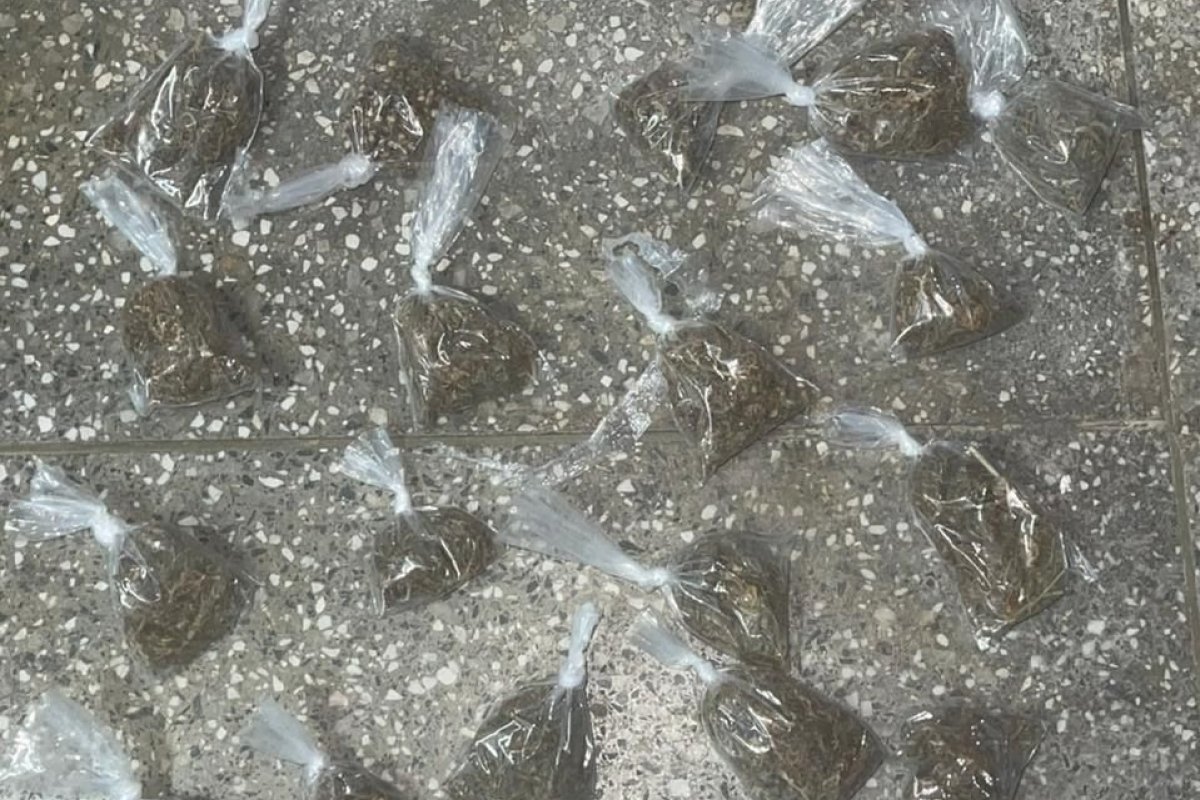 Polícia Militar apreende suspeito e drogas na Federação