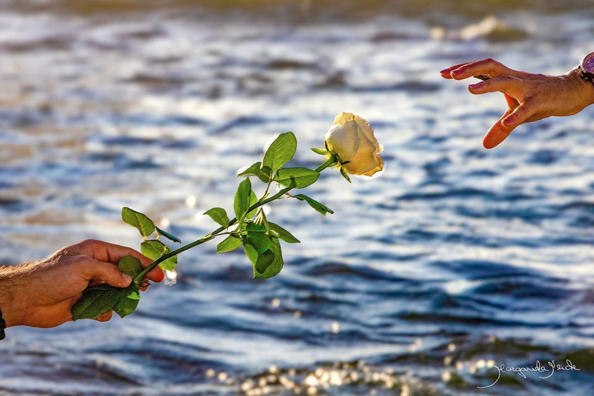 Exposição da Brahma Kumaris no Museu de Arte Sacra da UFBA “Esperança: cultive a sua”