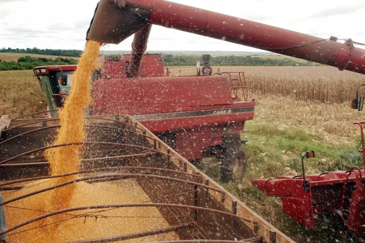 Anec eleva previsão de exportação de soja e milho do Brasil em janeiro