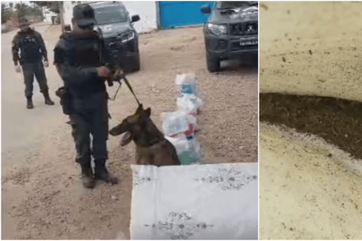 Mulher é presa ao tentar entrar em presídio com maconha escondida em colchão