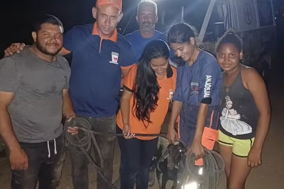 Carneiro é resgatado por brigadistas após dois dias preso em buraco na Bahia