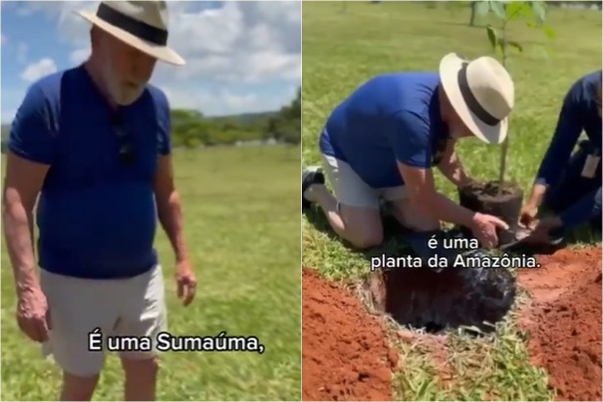 Lula planta mudas de sumaúma no jardim do Palácio da Alvorada!
