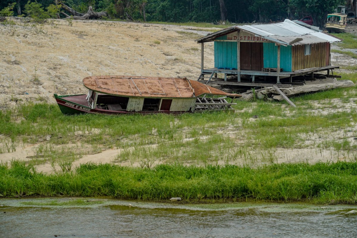 Mudanças climáticas provocadas por humanos foram as principais causas da seca que atingiu Amazônia em 2023, diz estudo