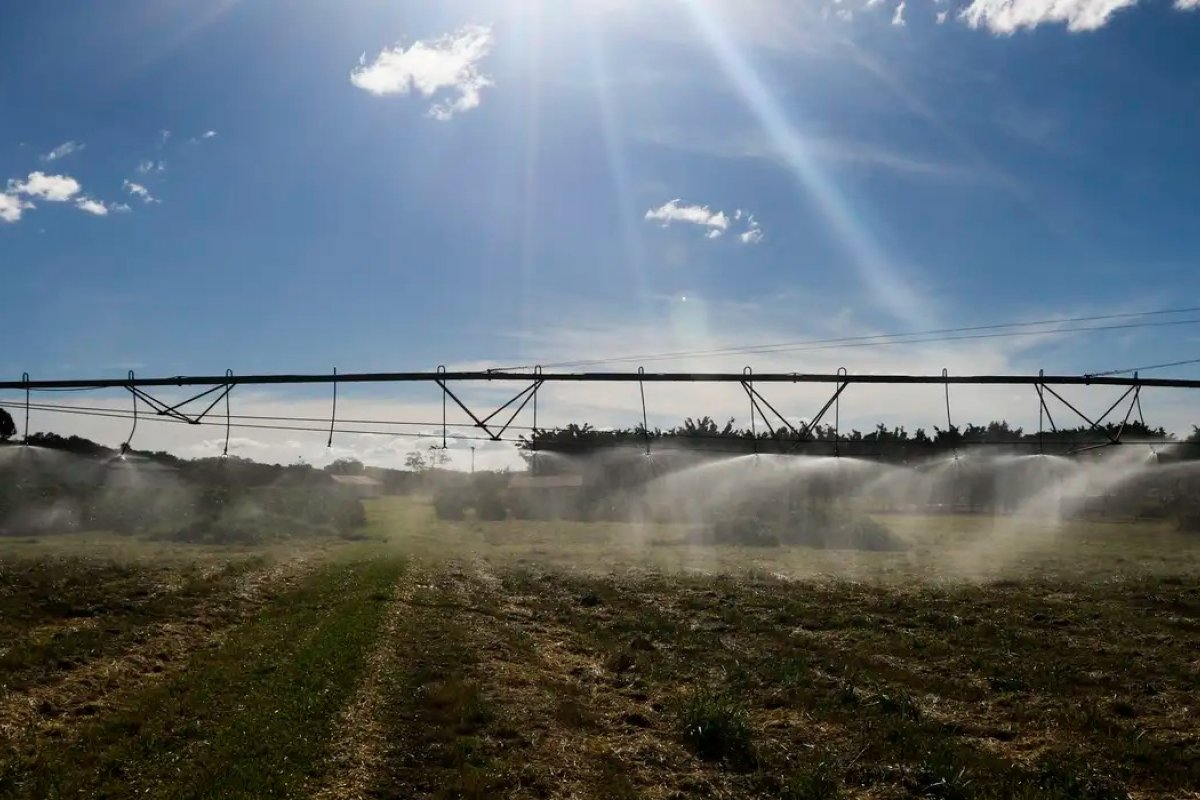 Autorizado por Lula, ministério prepara ações emergenciais contra crise no agro