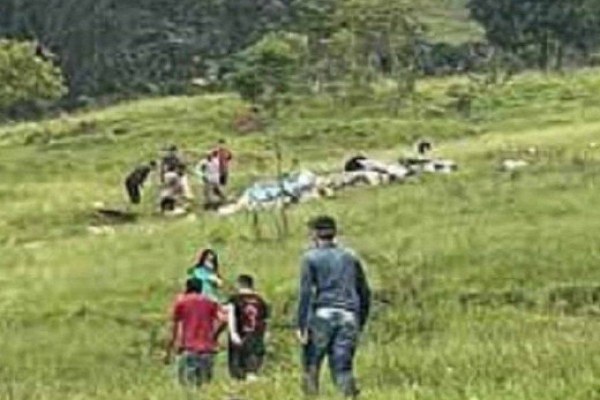 Avião que caiu em MG não tinha permissão para táxi aéreo; Cenipa investiga