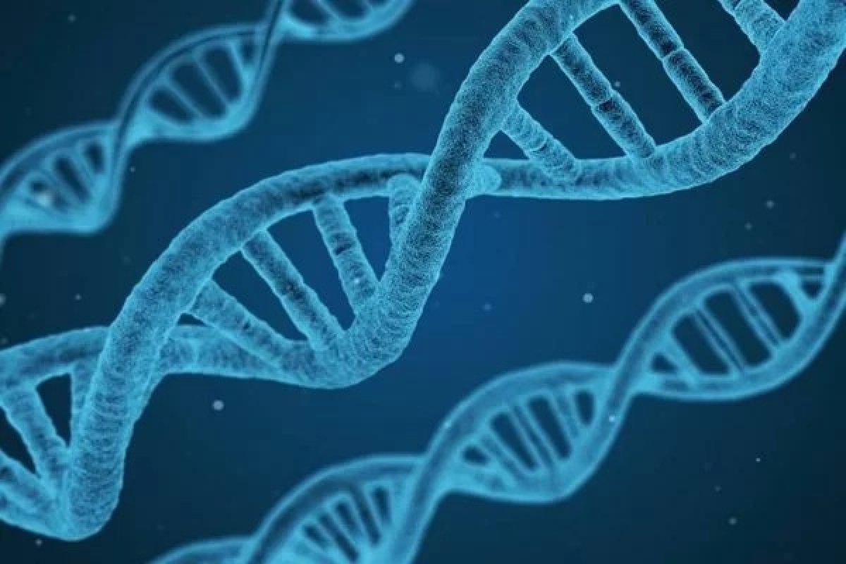 Alzheimer já foi transmitido entre humanos através de procedimentos com hormônios