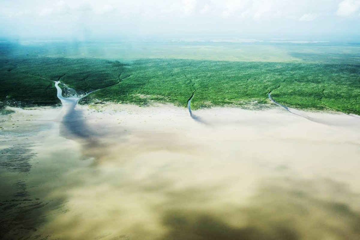 Impacto ambiental máximo na exploração de petróleo na bacia Foz do Amazonas preocupa autoridades