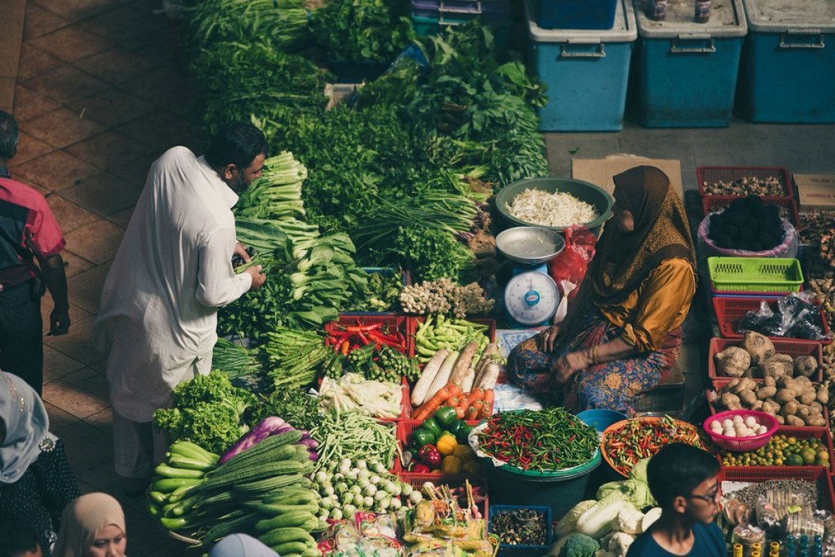 Brasil influencia queda nos custos globais de carne