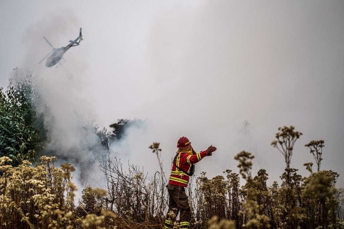 China decreta luto oficial após quase 100 mortos em incêndios florestais