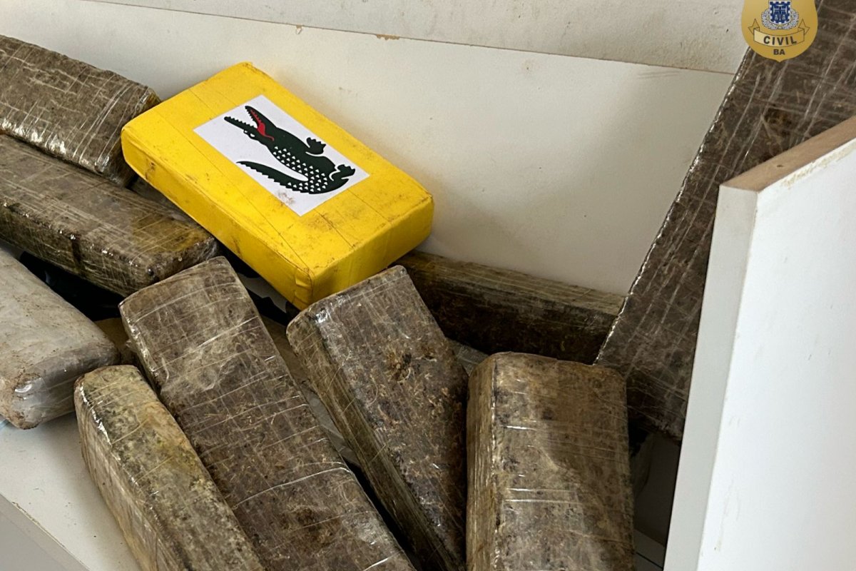 Cerca de 35 quilos de drogas e armamentos no bairro Brasil