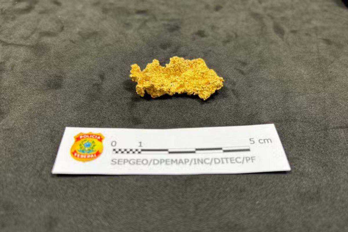 PF diz que pepita de ouro encontrada com Valdemar Costa Neto é de garimpo