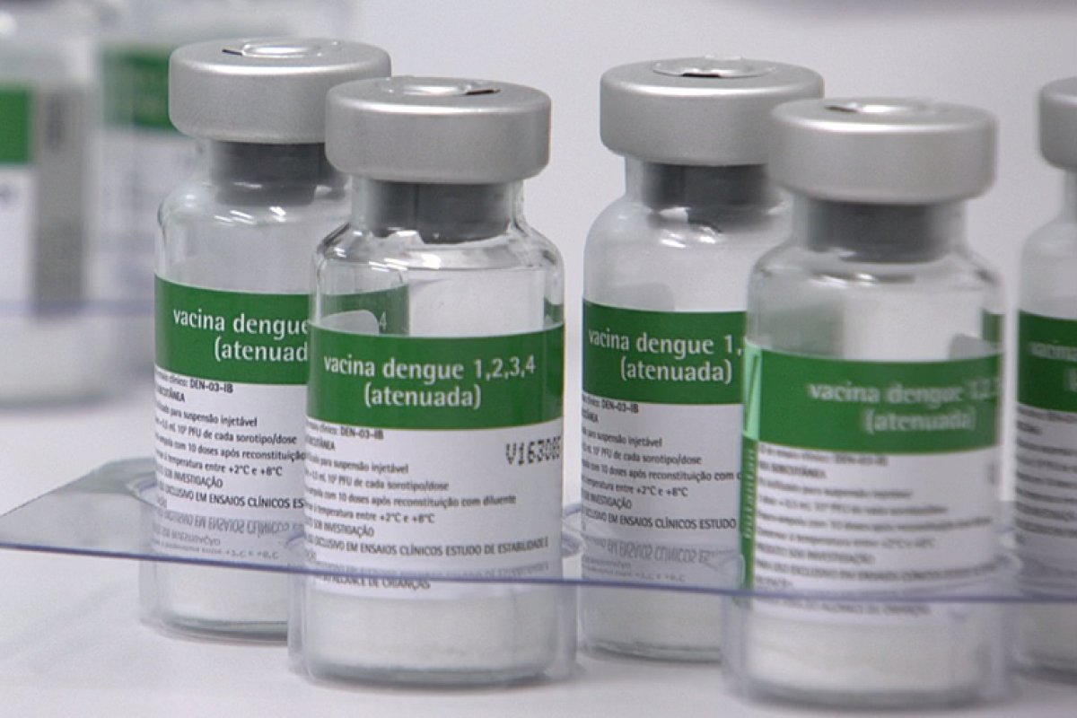 Dengue: entenda por que idosos não foram priorizados na vacinação