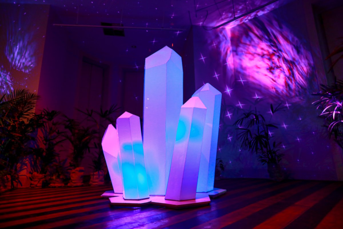 Exposição “Floresta Encantada” estreia na CAIXA Cultural Salvador!