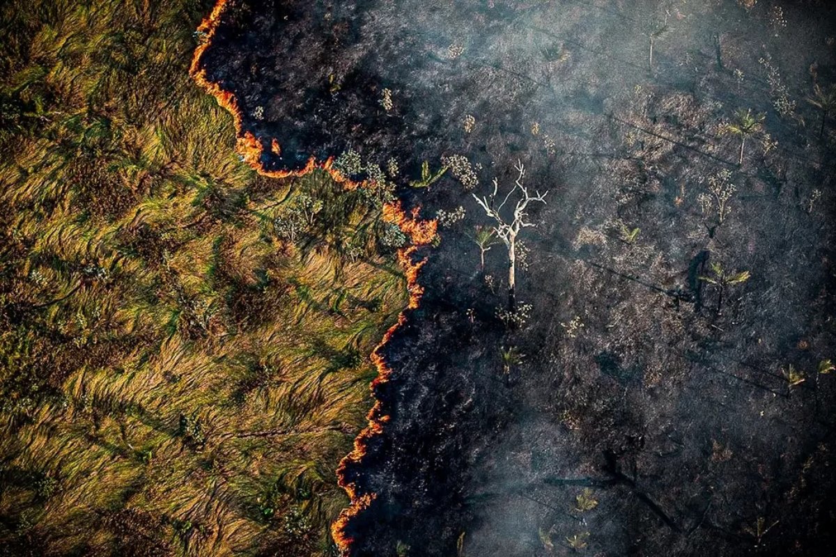 Incêndios devastaram 28% das pastagens no Brasil em 2023