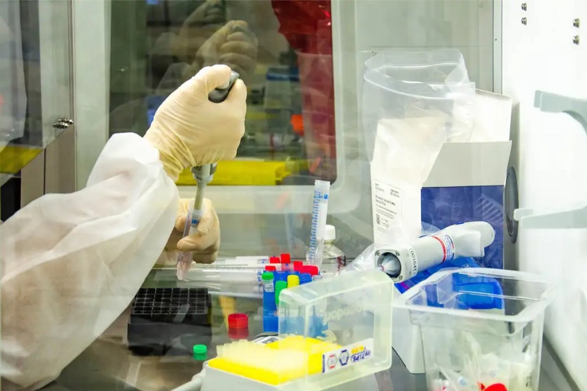 Estudo pesquisa trocas moleculares para entender envelhecimento