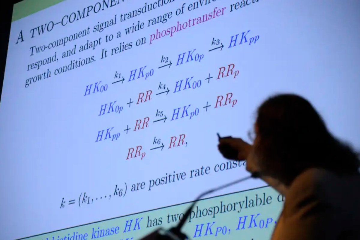 Empregos relacionados à matemática têm maior estabilidade em épocas de crise