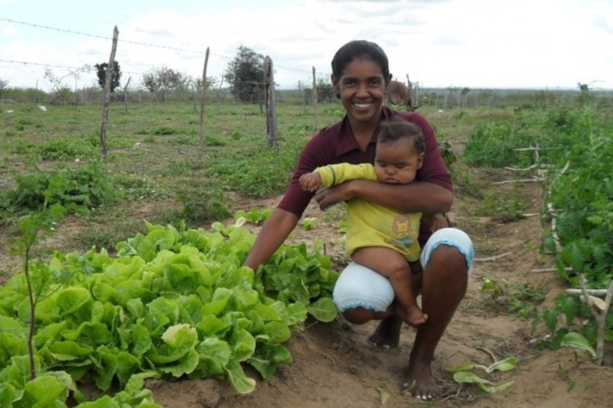 Governo divulga lista de famílias selecionadas para assentamentos na Bahia; confira
