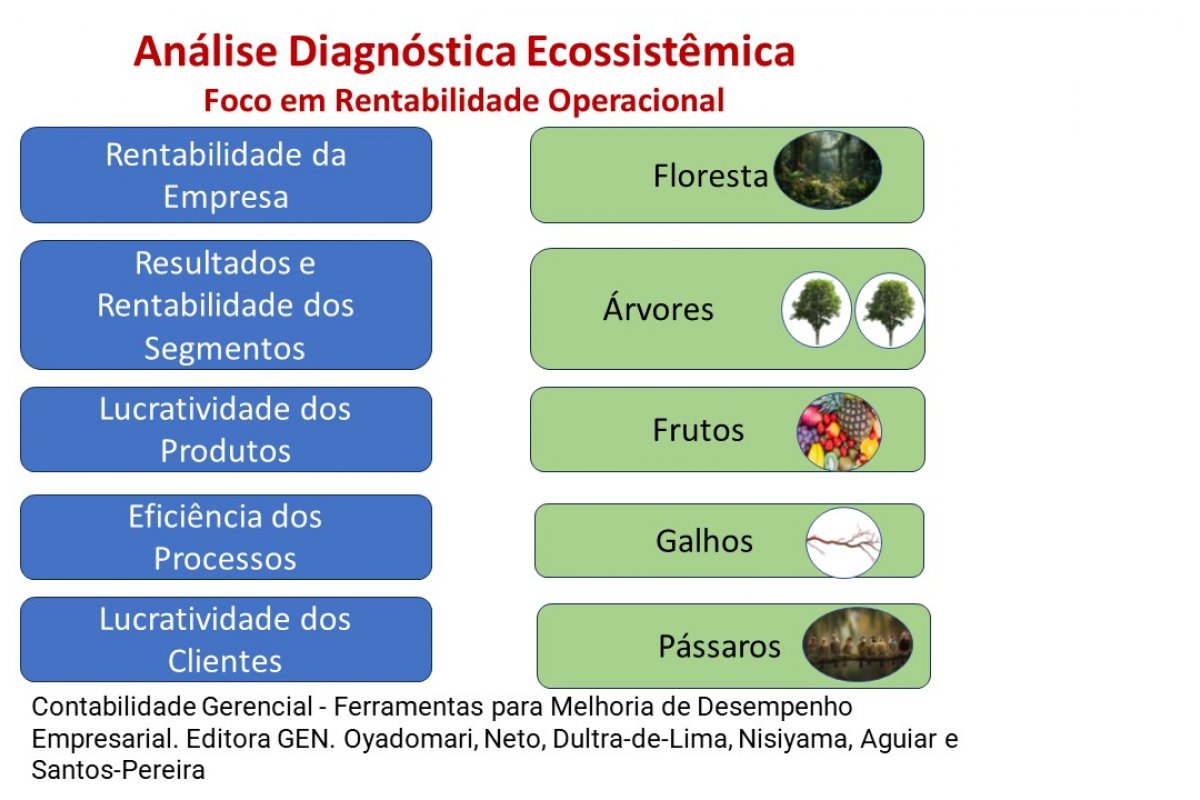Como identificar oportunidades para melhoria da rentabilidade operacional Análise Diagnóstica Ecossistêmica