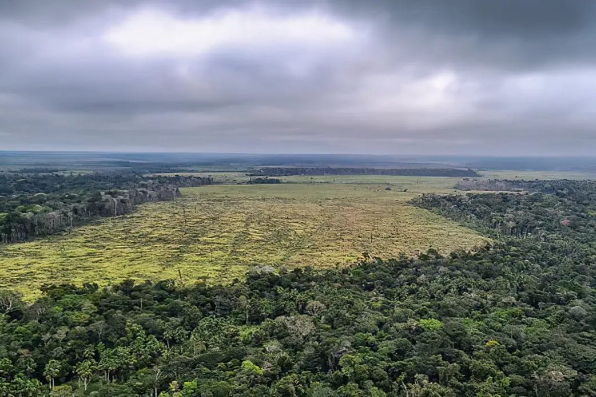 Desmatamento na Amazônia cai 60% em janeiro deste ano