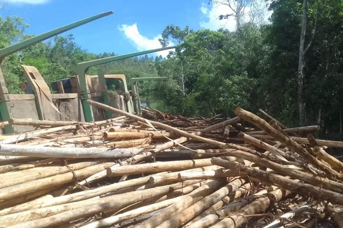 Ciclita morre depoi de ser atingido por toras de madeira que eram transportadas em caminhão no sul da Bahia