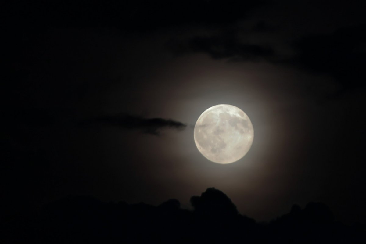 Ano bissexto: entenda por que 2024 terá 366 dias