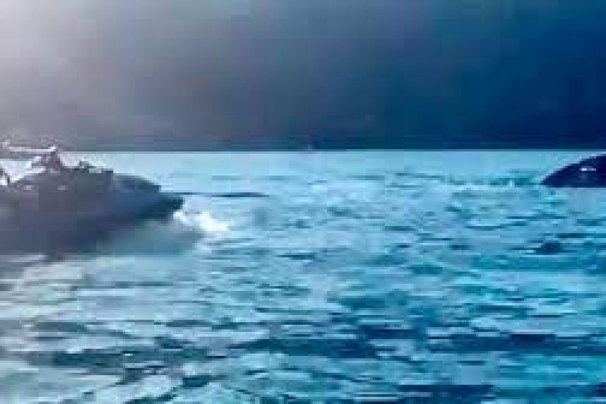 Bolsonaro depõe à PF nesta terça-feira (27) sobre caso envolvendo importunação a uma baleia