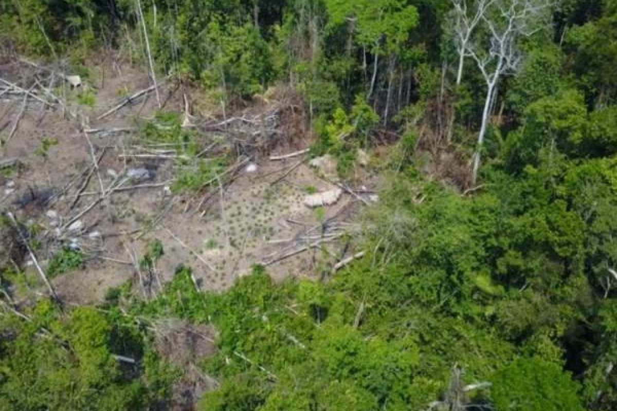 Crianças indígenas são encontradas mortas no Amazonas