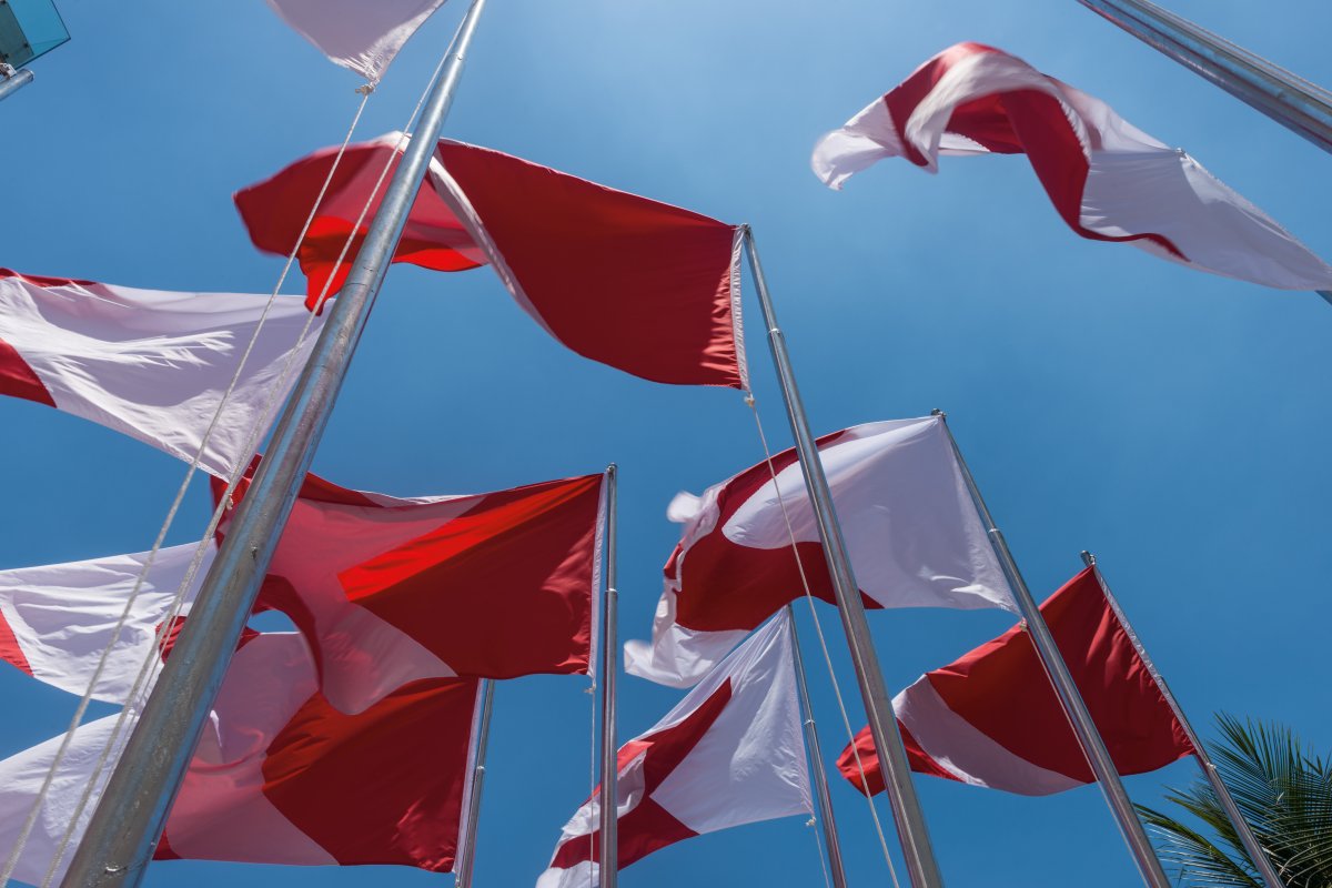 Galeria Hugo França e Nara Roesler apresentam a exposição Corta Fogo, de Raul Mourão, em Trancoso!