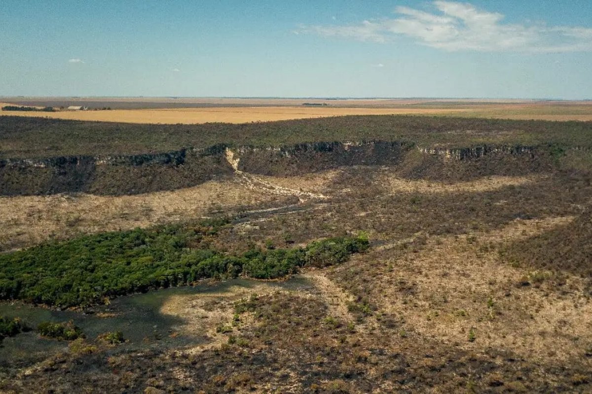 Cerrado: Bahia tem quatro dos 10 municípios que mais desmataram em janeiro