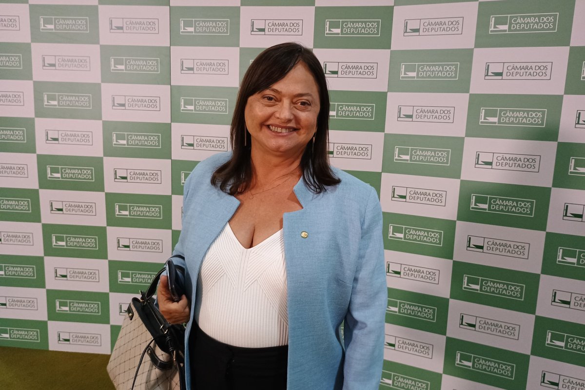 'Não temos clima político para discutir uma nova lei', afirma Alice Portugal sobre aborto no Brasil