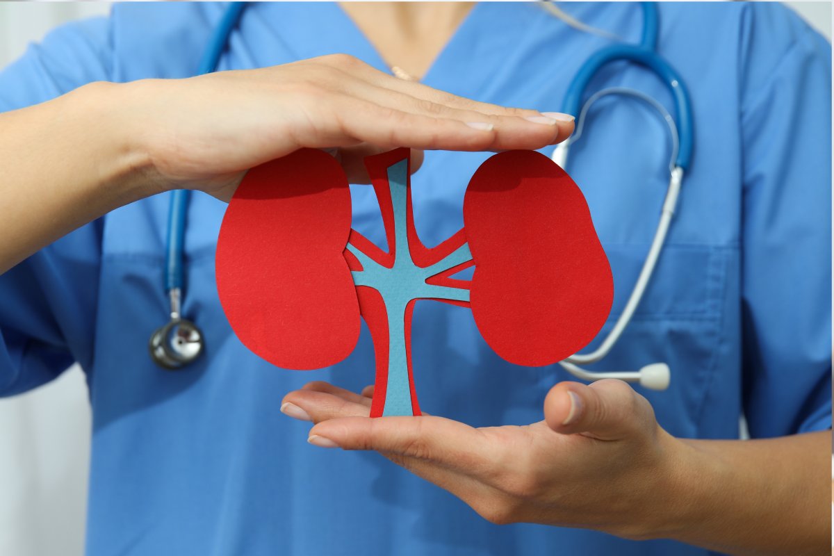 Cerca de 15% da população mundial vive com algum tipo de doença renal!