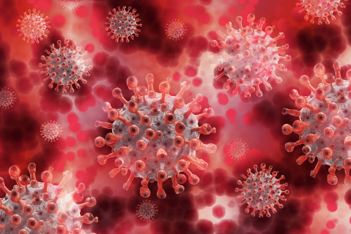 Pesquisadores dão passo significativo em direção à cura do HIV