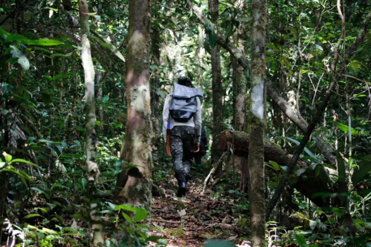 Garimpo ilegal desmata 170 campos de futebol no maior parque nacional do Brasil
