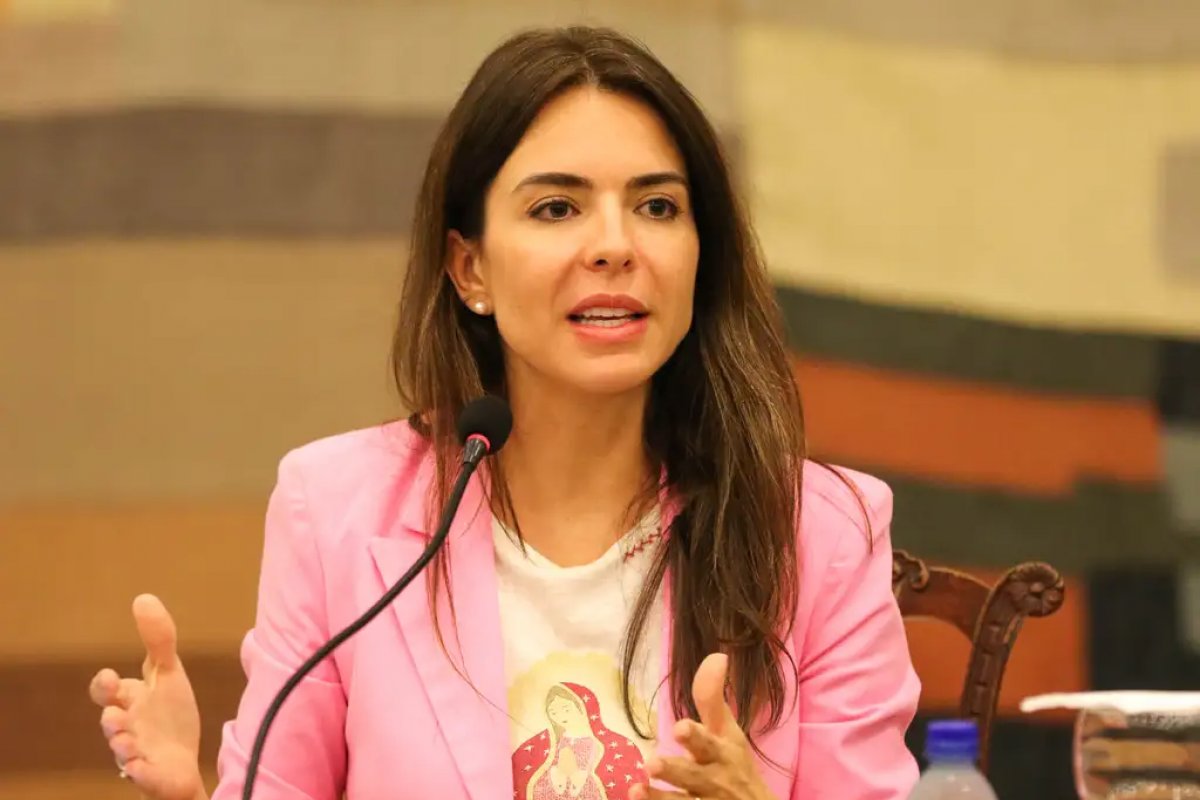 Deputada Any Ortiz sinaliza que objetivo é manter desoneração da folha até 2027