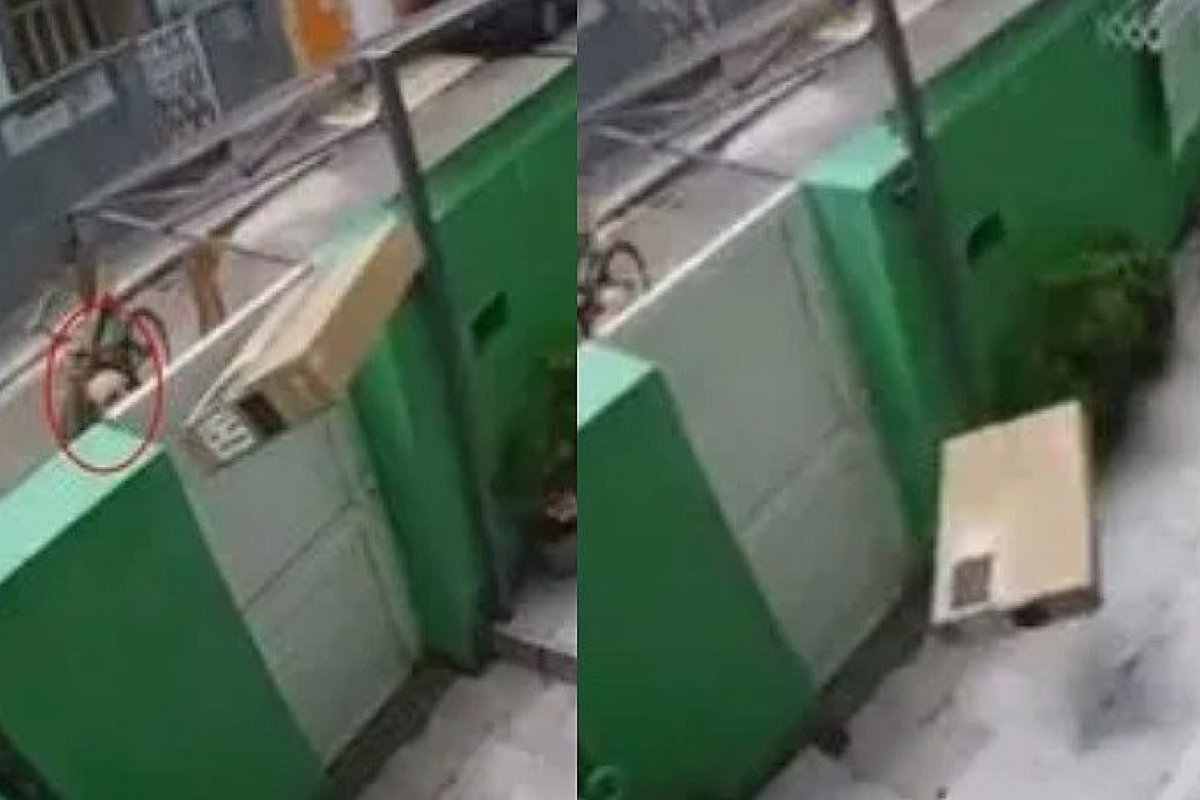 Vídeo: entregador arremessa TV em quintal no Rio de Janeiro
