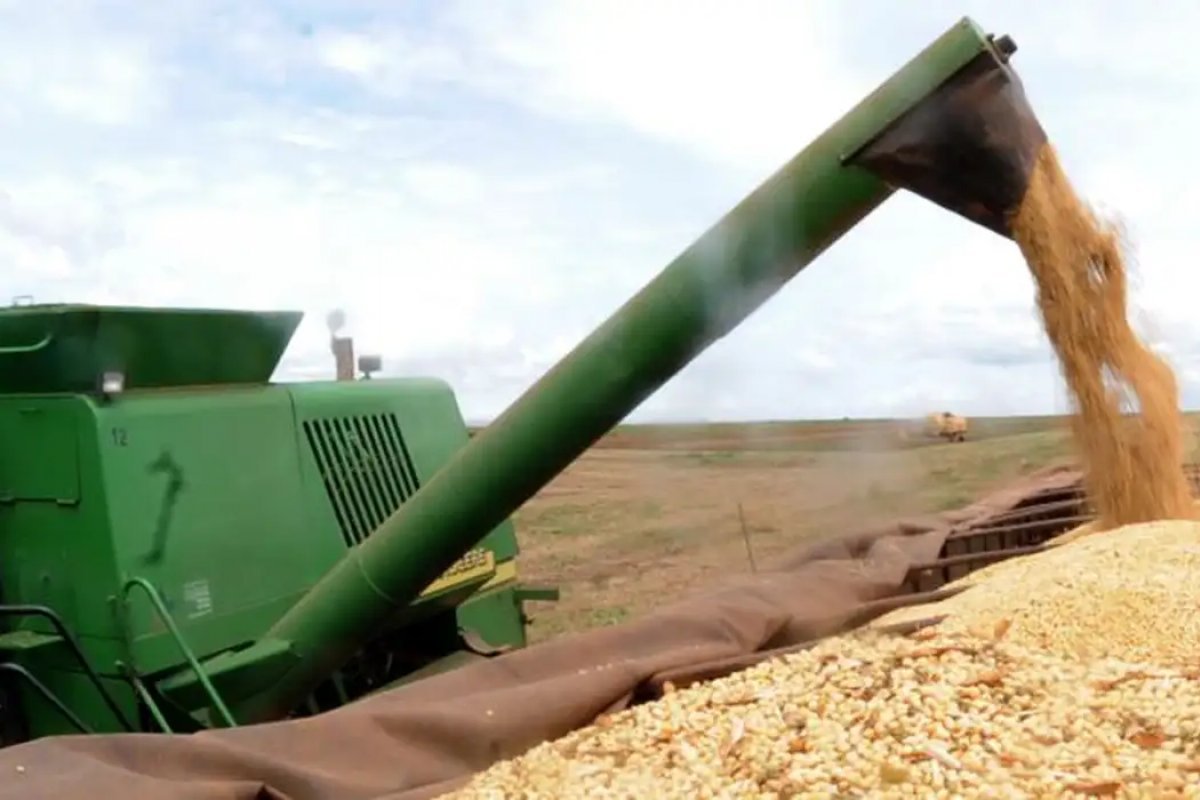 Agronegócio fecha 2023 com participação de 21,1% na economia baiana