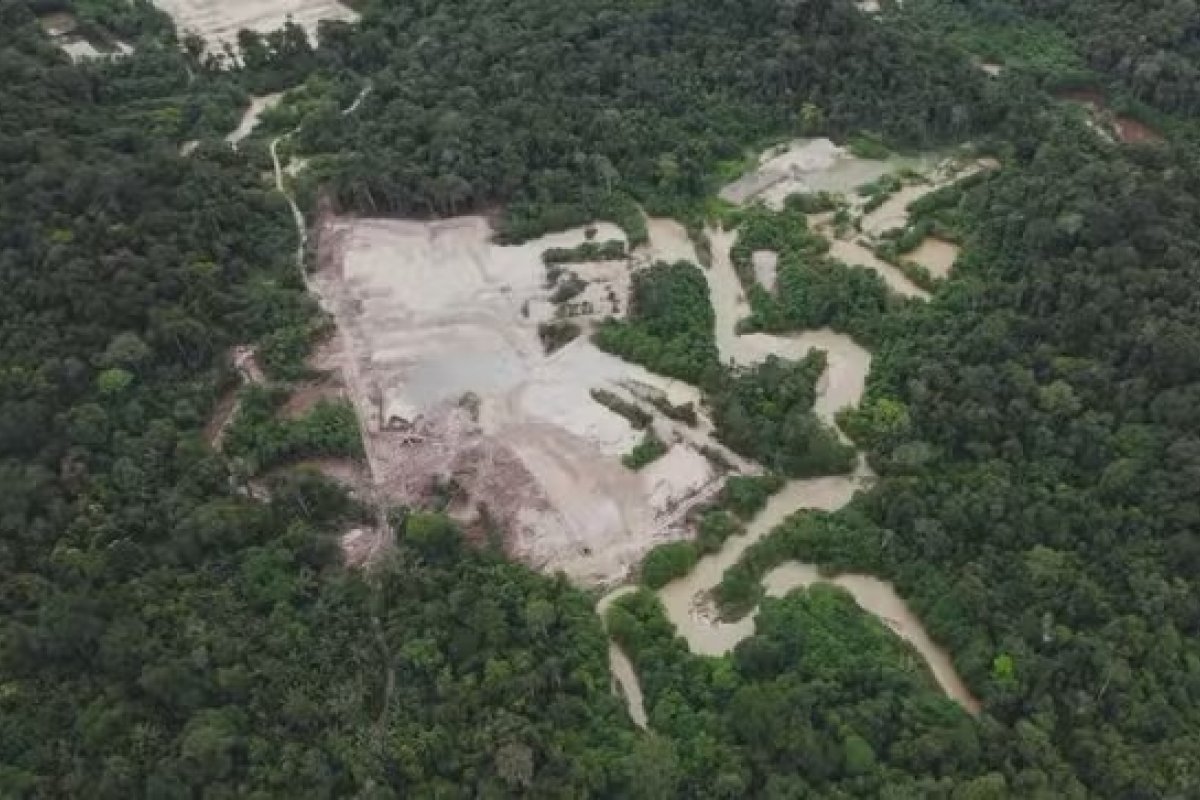 Mais de 60% das áreas de regeneração na Amazônia são novamente devastadas, revela estudo