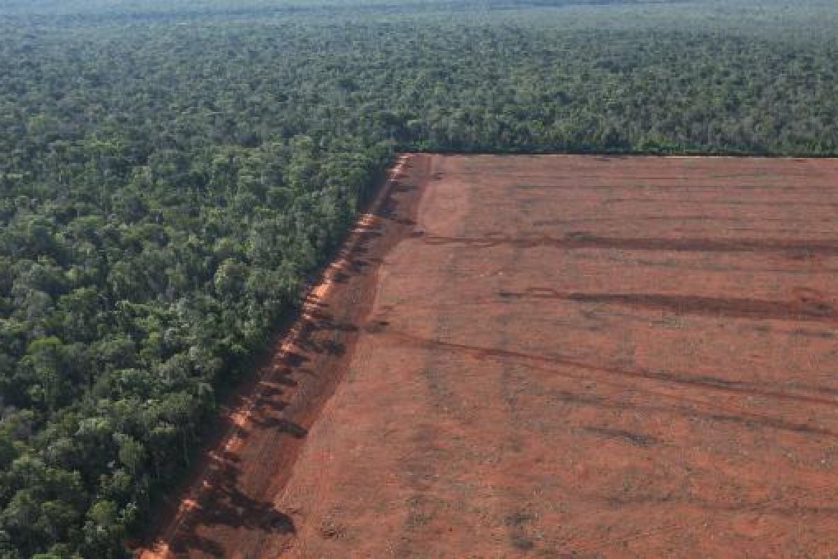 MPF entra com ação para que Incra e União concluam demarcação de terra quilombola