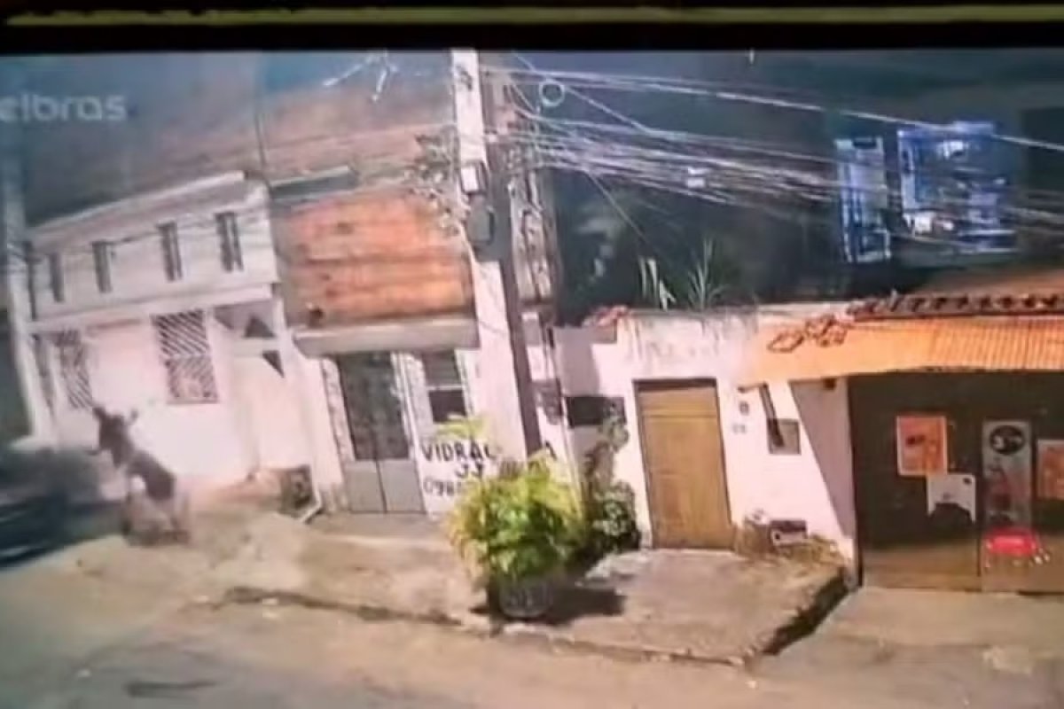 Vídeo: atropelamento em Salvador deixa dois homens em estado grave