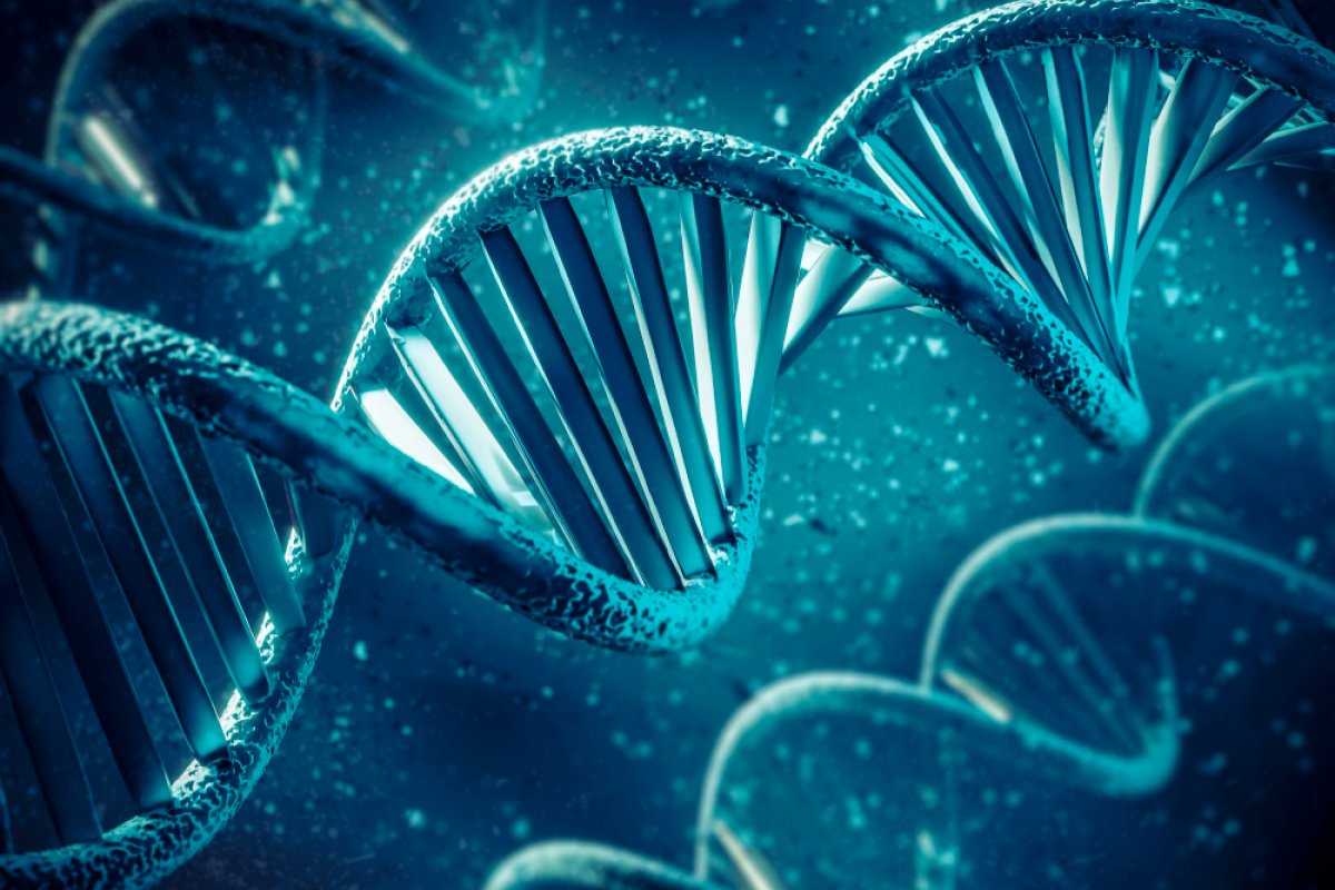 Criminosos podem se aproveitar de testes de DNA para roubar dados genéticos; saiba como se proteger