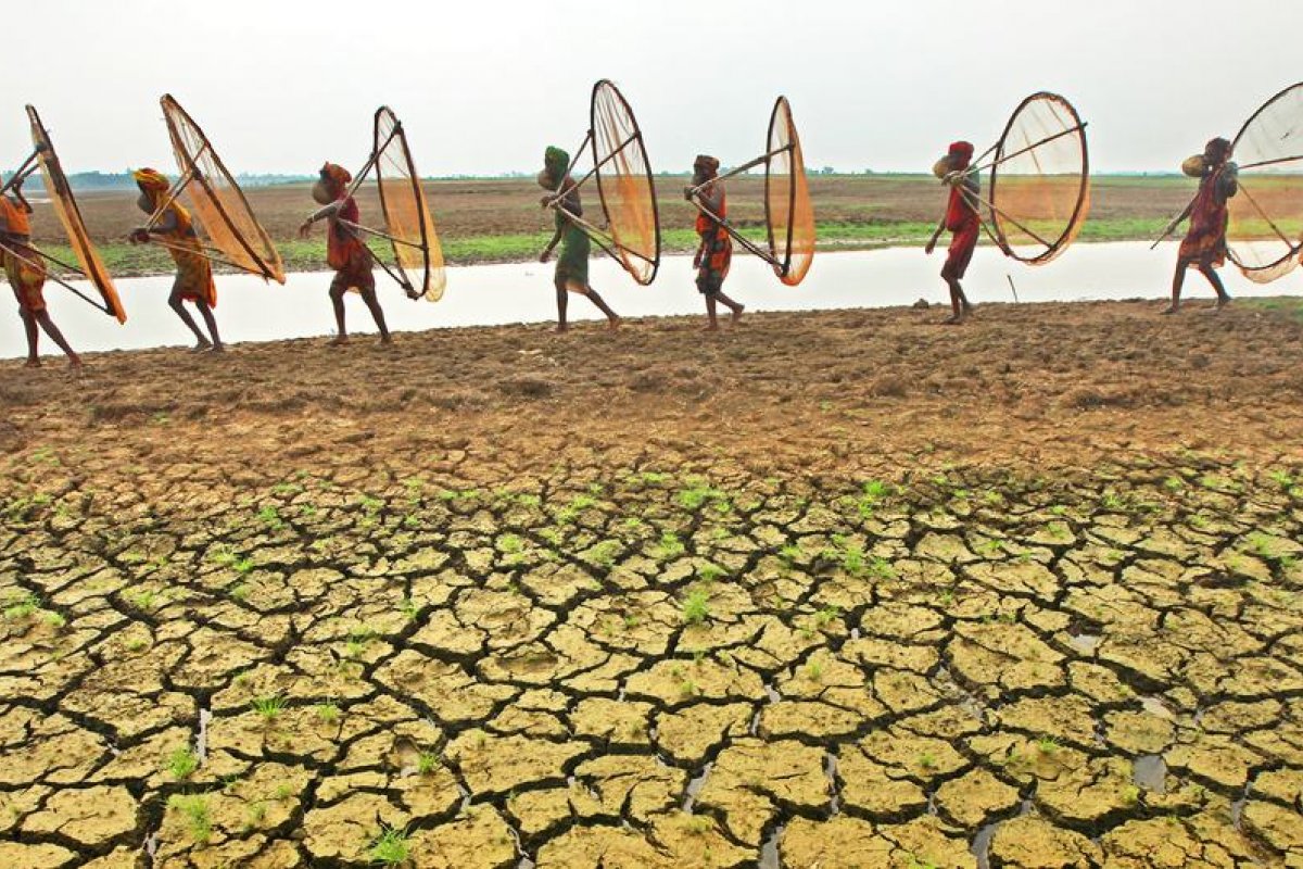 ONU aponta que 2023 foi o ano e o período de 10 anos mais quente já registrado