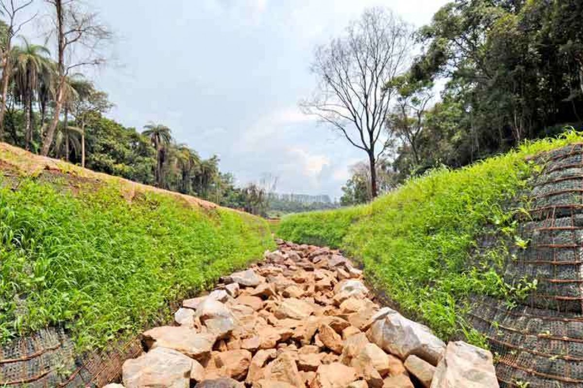 Vale anuncia a execução de Projeto de recuperação de vegetação de Brumadinho