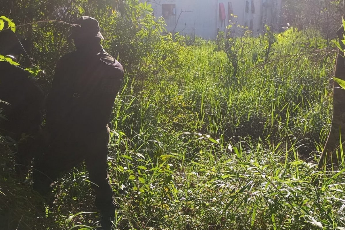 Homem é preso após invadir presídio em Salvador