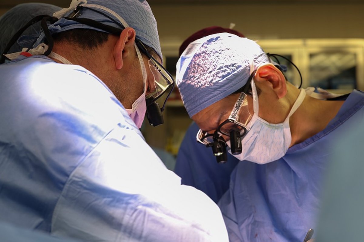 Médico brasileiro realiza primeiro transplante de rim de porco em humano nos EUA