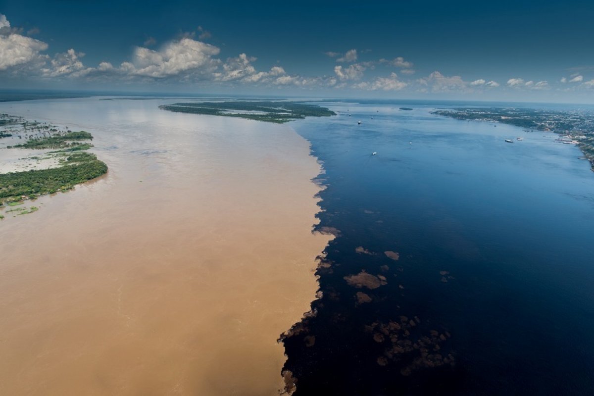 Ecolodge oferece experiência de luxo na Floresta Amazônica!